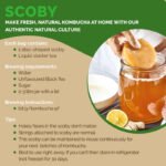 Peepal Farm Kombucha SCOBY and Starter Tea | Make Kombucha at Home - Image 2