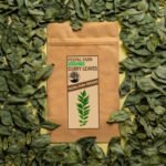Organic Shade Dried Curry Leaves | Himalayan Curry Patta (20g) - Image 3