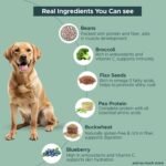 Fresh Wet Dog Food Vegan and Nutritionally Complete | Dog Food for Sensitive stomachs | Human-Grade Ingredients | High-Protein Recipe for Active Dogs - Image 2