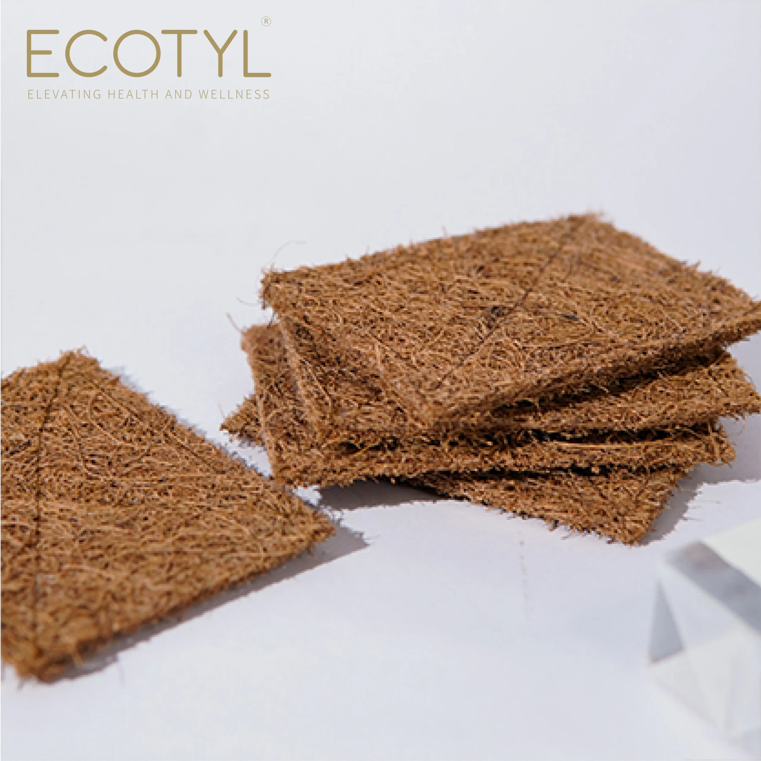 CoconutScrubPad-Setof51-scaled-1.webp Natural Coconut Coir Scrub Pad – Set of 5 Eco-Friendly Dishwashing Pads - Image 1