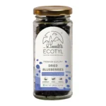 Premium Quality Natural Dried Blueberries – Antioxidant-Rich Healthy Snack - Image 5