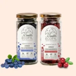 Vegan Dried Blueberries & Cranberries – Healthy Snack Combo