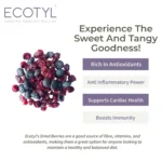 Vegan Dried Blueberries & Cranberries – Healthy Snack Combo - Image 2