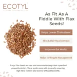 Organic Flaxseeds – Premium Omega-3 Rich Superfood Seeds (200 g) - Image 2
