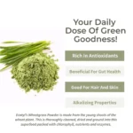 Ecotyl Organic Wheatgrass Powder – 100 g Superfood for Detox & Immunity - Image 2
