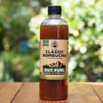 Peepal Farm Handcrafted Kombucha Pack of 4 | Natural Probiotic Kombucha Drink - Image 2
