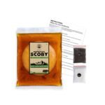 Peepal Farm Kombucha SCOBY and Starter Tea | Make Kombucha at Home