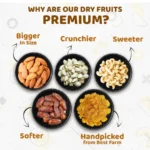 Panchmeva - Family Pack Of 5 Premium Dry Fruits 750 Grams | Red - Image 4