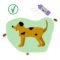 Tick & Flea Care