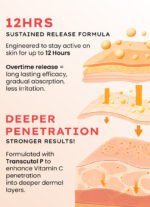 10% Vit C Serum with 1% Vit E & Ferulic Acid | Clinically Tested - Image 5