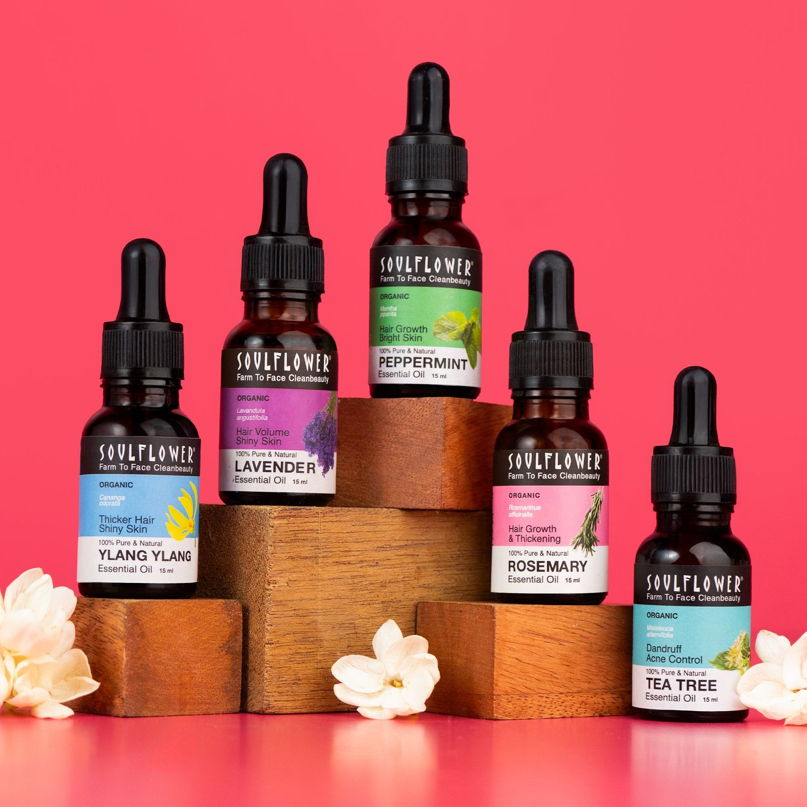5x_essential_oil.jpg Best Seller Essential Oil Kit - Pack of 5 - Image 1