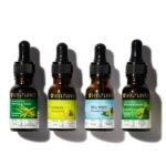 Lemon, Eucalyptus, Tea Tree & Peppermint Oils Set - Image 2