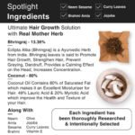 Bhringraj & Rosemary Oil For Stress Hair Fall - Image 6