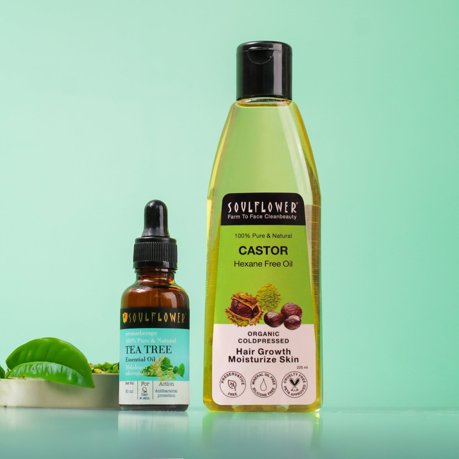 Castor-Tea-Tree-Monthly-Regime.jpg Castor Tea Tree Monthly Regime - Image 1