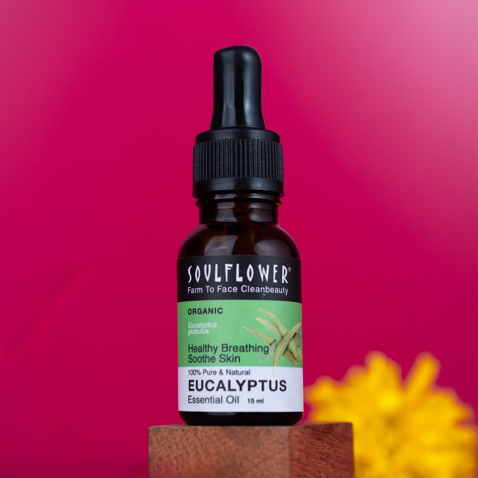 Soulflower Eucalyptus Essential Oil | Pure Nilgiri Oil for Aromatherapy Eucalyptus Oil