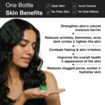Soulflower Eucalyptus Essential Oil | Pure Nilgiri Oil for Aromatherapy - Image 2