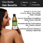 Organic Castor Oil for Hair Growth, Eye Brows & Lashes BYOB - Image 5