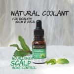 Peppermint Essential Oil to Stop Hair Shedding BYOB - Image 5