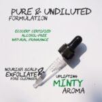 Peppermint Essential Oil to Stop Hair Shedding BYOB - Image 7