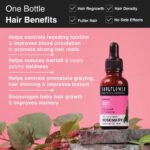 Rosemary & Lavender Essential Oil for Nourishment of Skin & Hair - Image 3