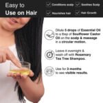 Rosemary And Tea Tree Oil for Dandruff-free Hair Growth - Image 4