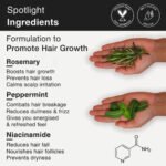 Frizz-free Hair Growth Routine - Image 9