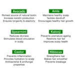 Rosemary Essential Oil + Lightweight Mint Hair Oil - Image 6