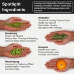 Frizz-free Hair Growth Routine - Image 8