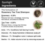 Rosemary Routine for Hair Maintenance - Image 7