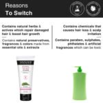 Rosemary Tea Tree Shampoo - Image 9