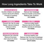 Rosemary Tea Tree Shampoo - Image 7