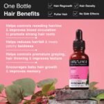 Clinically Tested Rosemary Essential Oil for Hair Growth (testing product) - Image 2