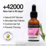 Rosemary Essential Oil & Water for Hair Growth - Image 2
