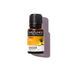 Ginger Essential Oil for Sore Muscles - Image 6