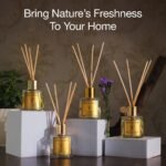 Shaadi ki Khushiyan with Aroma Reed Diffuser - Image 13