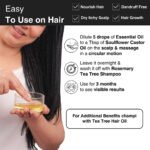 Complete Routine for Excessive Dandruff - Image 7