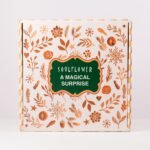 Magical Surprise - Image 2