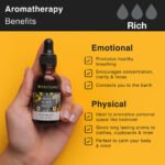Walk in the Wood Aroma Oil - Image 3