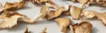 Amritatva Dried Oyster Mushrooms 50g – Natural Superfood Ingredient - Image 6