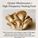 Amritatva Dried Oyster Mushrooms 50g – Natural Superfood Ingredient - Image 5