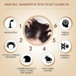 Iba Hair Color – Dark Brown (Pack of 2) + Black Seed Conditioner - Image 5