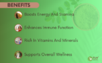 Organic Moringa Tablets 1200mg | Supports Immunity, Digestion & Energy - Image 8