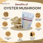 Amritatva Dried Oyster Mushrooms 50g – Natural Superfood Ingredient - Image 3