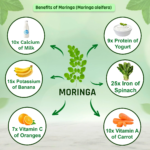 Organic Moringa Tablets 1200mg | Supports Immunity, Digestion & Energy - Image 3