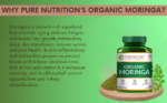 Organic Moringa Tablets 1200mg | Supports Immunity, Digestion & Energy - Image 6