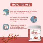 Pure Nutrition Plant-Based Super Collagen+ | Power Blend |Vegan Collagen Support - Image 3
