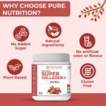 Pure Nutrition Plant-Based Super Collagen+ | Power Blend |Vegan Collagen Support - Image 5