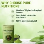 Pure Nutrition Wheatgrass Powder – 100g | Supports Detox, Alkalinity & Vitality - Image 6