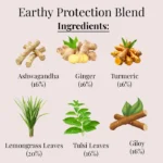 Bouquet Garni Earthy Protection Blend – Herbal Kadha Immunity Tea with Tulsi, Giloy & Ashwagandha - Image 3