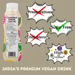 Vegu Unsweetened Coconut Drink | Light & Refreshing Vegan Drink - Image 2